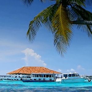 Meet your Posher, Brooks